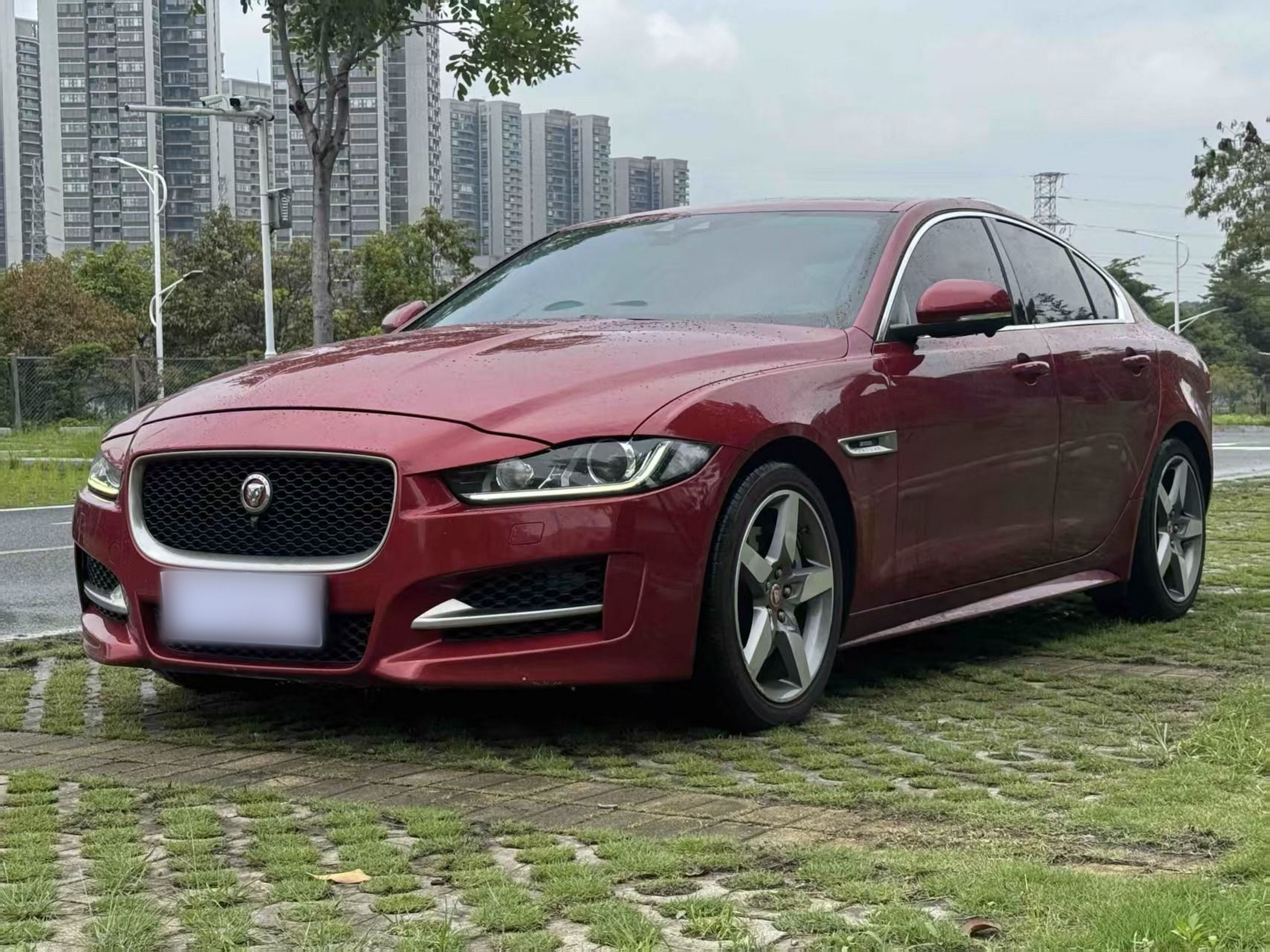 Under Front Bumper
