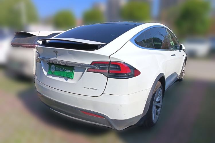 Used Tesla Model X 2017 X 100D Long Range Edition Rear Right 45 Deg