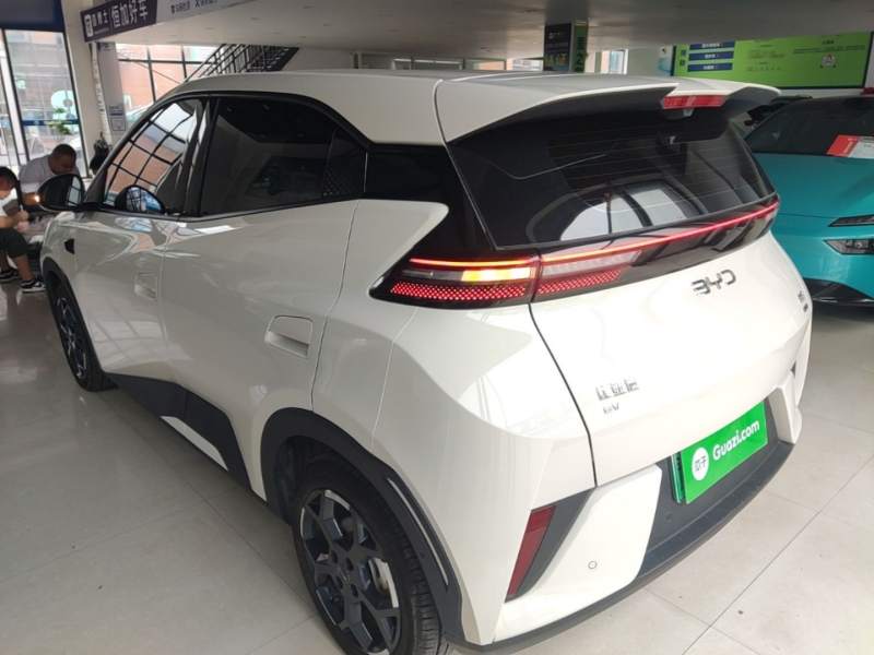 Used BYD Seagull 2025 Smart Drive Version 305 km Freedom Edition — 4