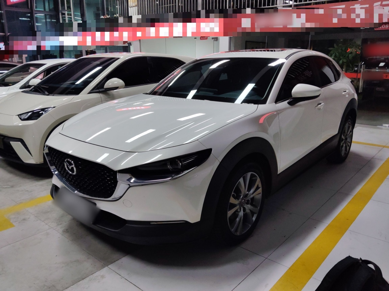 تحت مقدمة السيارة