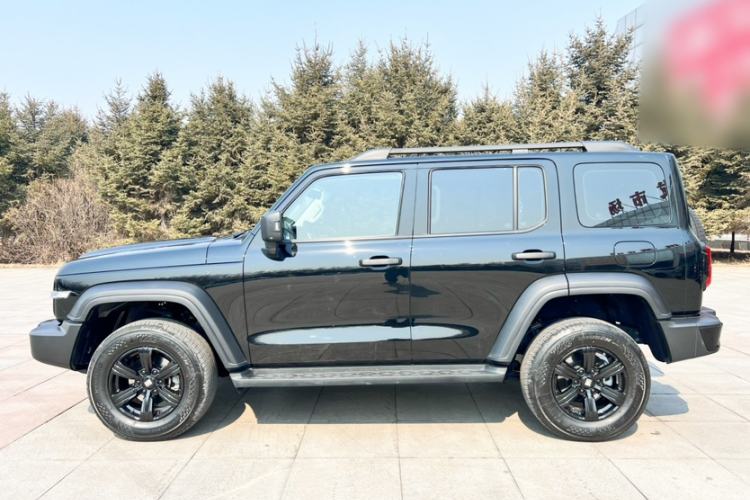 Used Tank 300 2024 2.0T Conqueror
