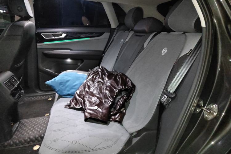 Used Volkswagen Teramont X 2022 380TSI Four-Wheel Drive Polar Night Limited Edition Left Rear Seat