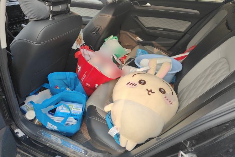 Used Volkswagen Magotan 2023 2 Million Units Limited Edition 330TSI DSG Leading Version Left Rear Seat