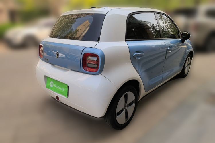 Used ORA Black Cat 2019 310km Fun Edition Rear Right 45 Deg