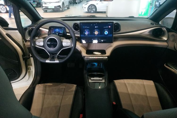 Used BYD Dolphin 2023 420 km Free Version Center Console