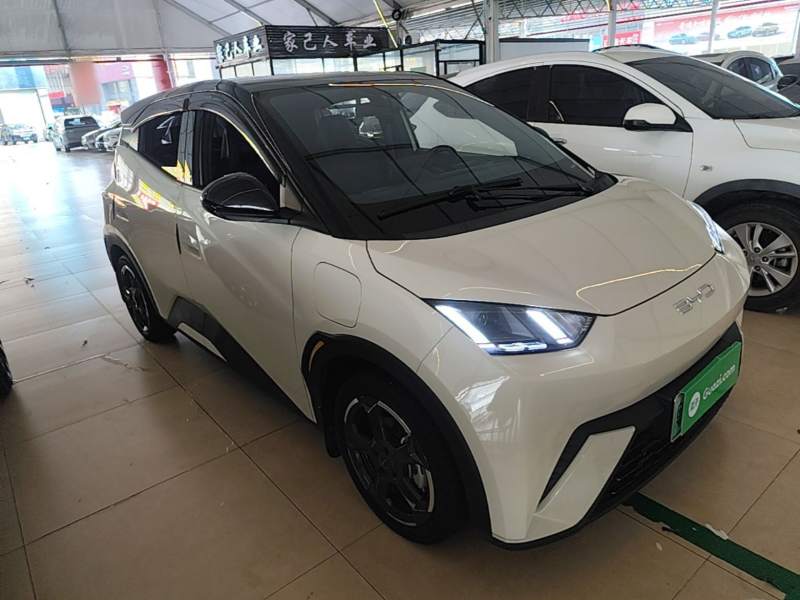 Used BYD Seagull 2023 Free Edition — 3