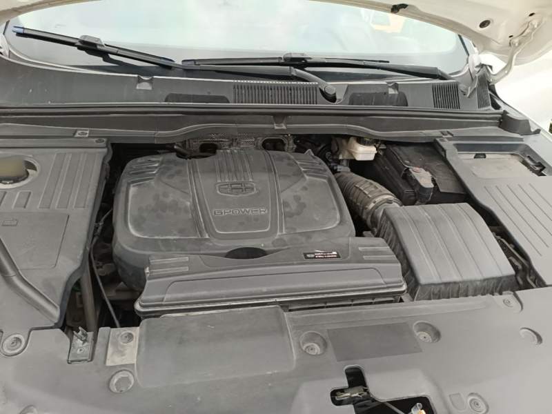 Used Geely Auto Coolray 2019 260T DCT Knight China V Standard — 19