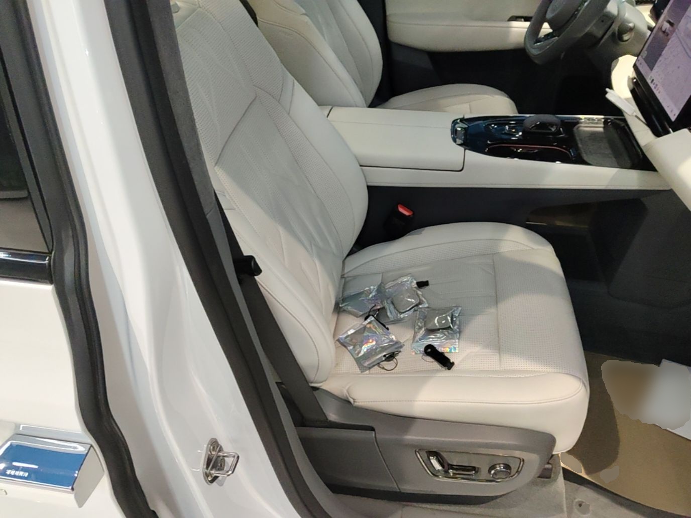 Zeekr 009 2024 Six-Seat Executive Version 4WD 108 kWh — снимка 19