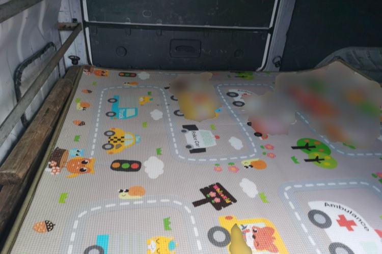 Used Farizon Xingxiang V 2024 Star Enjoy V7E 38.7 kWh
