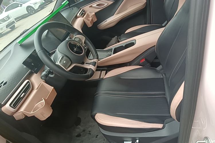 Used BYD Seagull 2023 Flying Edition Left Front Seat