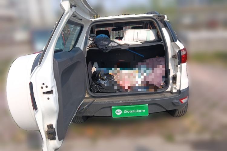 Used Ford EcoSport 2017 1.5L Automatic Trend Model