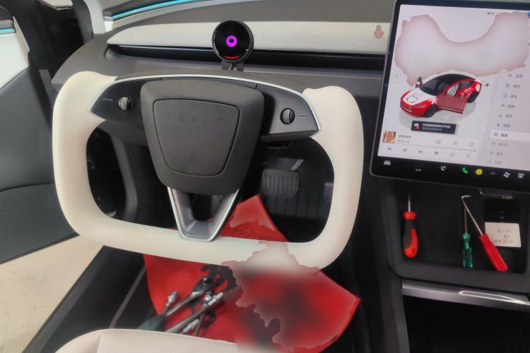 Used Tesla Model 3 2025 Rear-Wheel-Drive Version