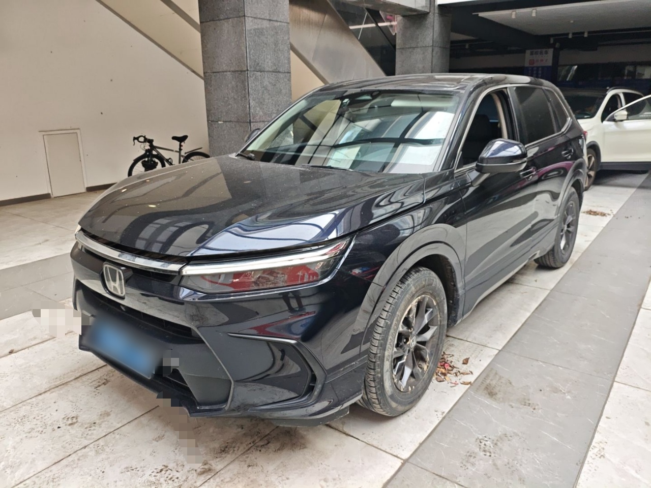 Parte inferior delantera