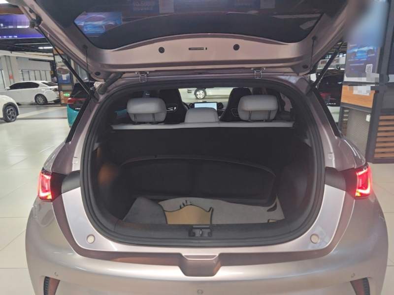 Used BYD Dolphin 2021 405 km Fashion Edition — 18