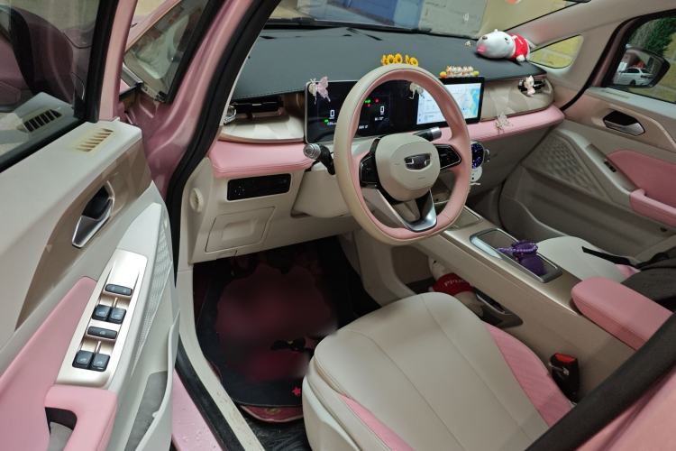 Used Geometry E Firefly 2024 301km Starlight Driver Seat