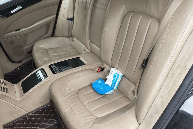 Used Mercedes-Benz CLS 2012 CLS 300 CGI Left Rear Seat