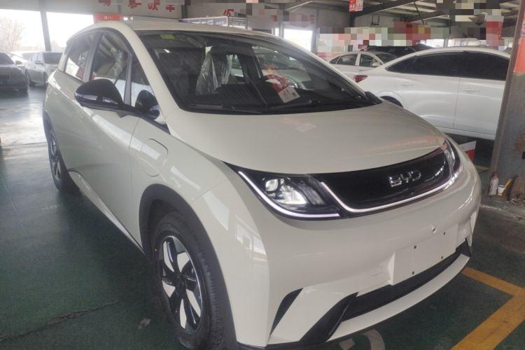 Used BYD Dolphin 2025 420km Free Edition