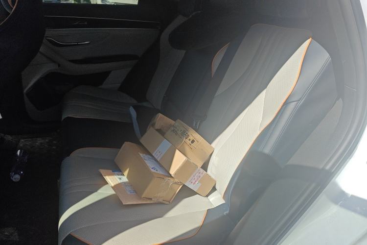 Used BYD Song PLUS New Energy 2021 DM-i 110KM Flagship PLUS 5G Edition Left Rear Seat