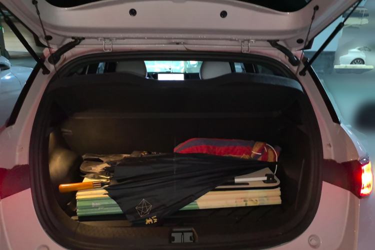 Used BYD Dolphin 2025 Intelligent Driving Version 410 km Fashion Edition Trunk