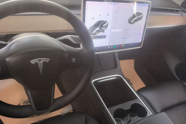 Used Tesla Model Y 2021 Standard Range Rear-Wheel Drive Version
