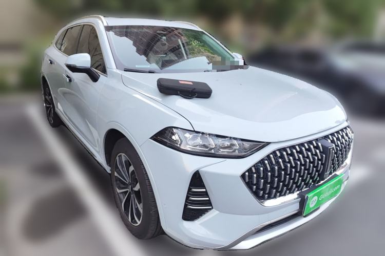 Used Wey Mocha 2021 2.0T Four-Wheel Drive Premium Edition