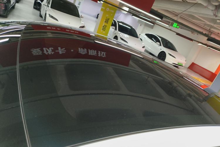 Used Tesla Model Y 2026 Rear-Drive Model
