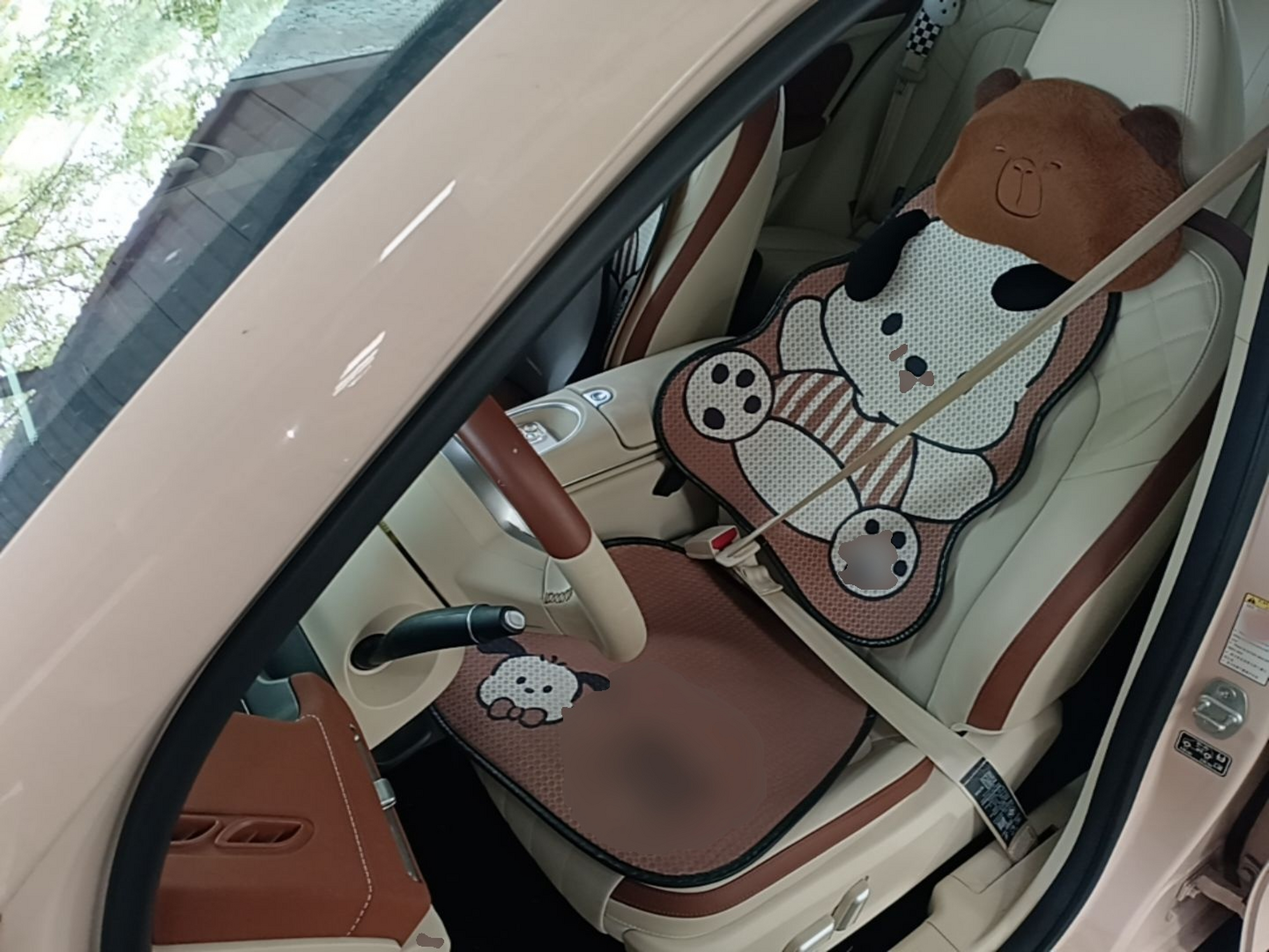 Interior delantero