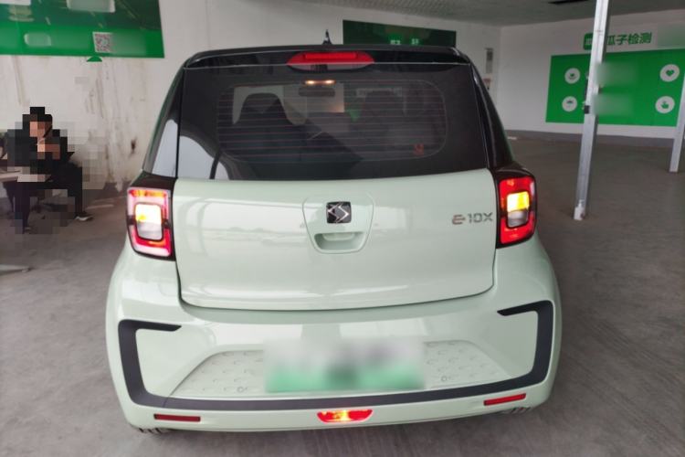 Used SOL E10X 2022 Flower Fairy Design Four-Leaf Clover
