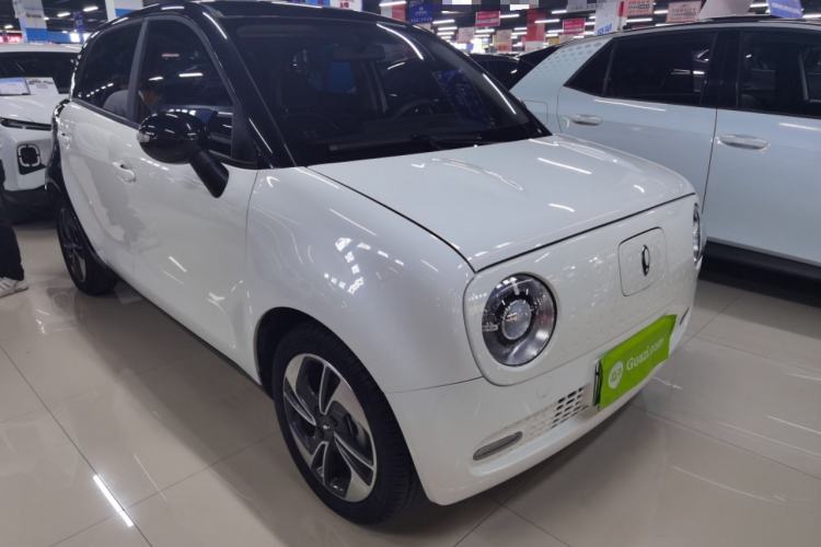 Used ORA Black Cat 2022 351 km Comfort Version Ternary Lithium