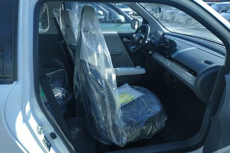 Used Qiyuan Lumin 2025 205 km Xiangqin Version
