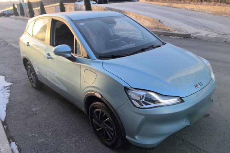 Used NETA V 2021 Standard Range Version
