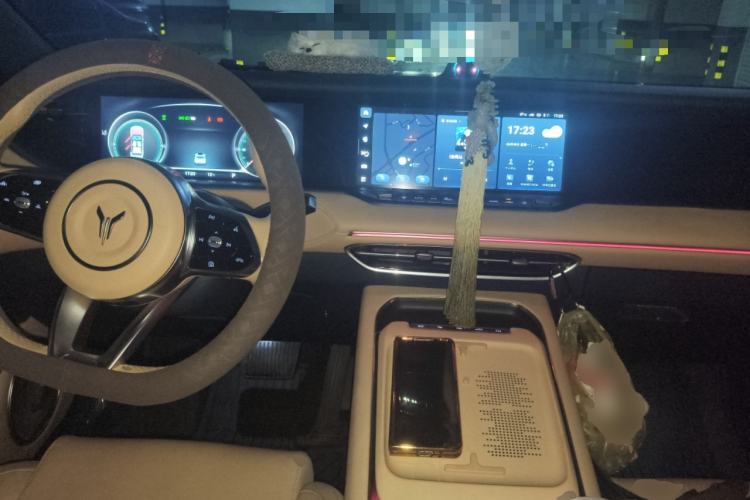 Used VOYAH FREE 2024 Ultra-Long Range Intelligent Driving Version Center Console