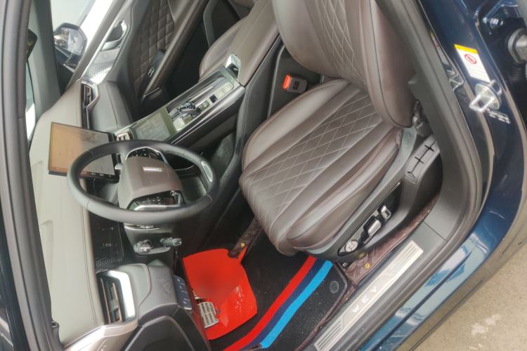 Used Wey Mocha 2021 2.0T Two-Wheel-Drive Premium Edition Left Front Seat