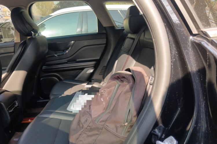 Used Lincoln Corsair 2023 2.0T Two-Wheel Drive Luxury Edition Left Rear Seat