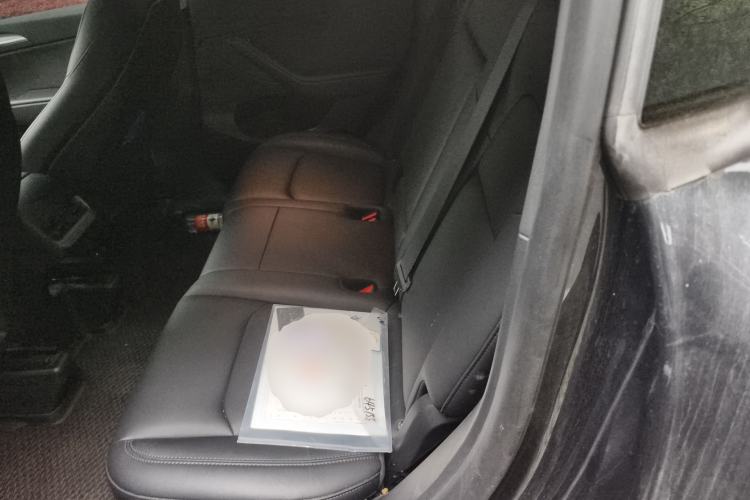 Used Tesla Model Y 2024 Rear-Wheel-Drive Version Left Rear Seat