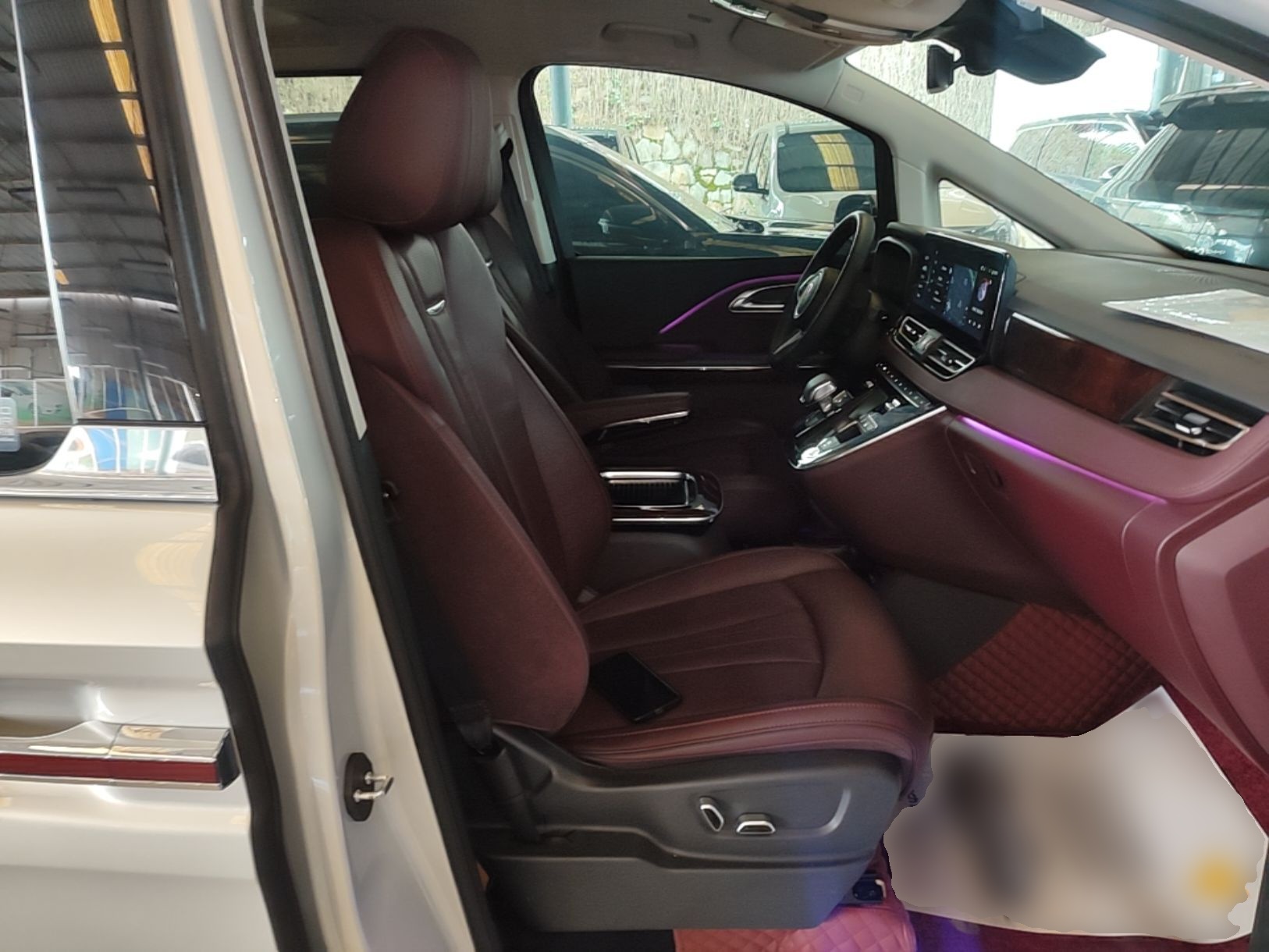 Hongqi HQ9 2023 2.0T Smart Connect Flagship Edition - Chinese Trim Xiang — снимка 19