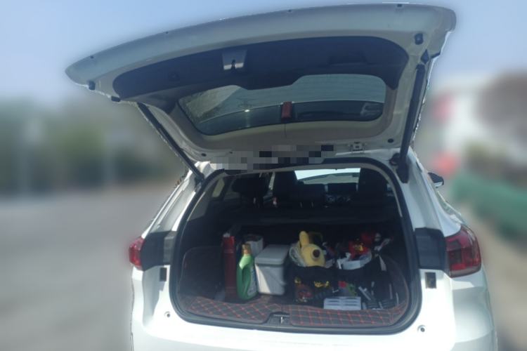 Used Wey VV6 2020 2.0T Two-Wheel Drive Smart Protection+
