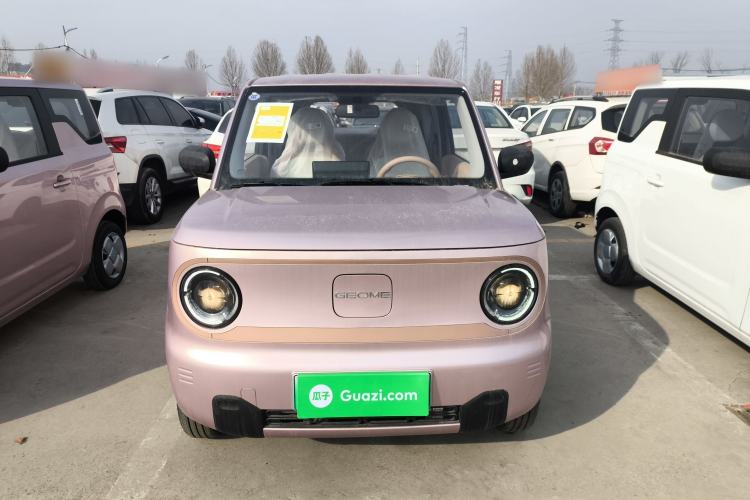 Used Geely Galaxy Panda 2024 Panda Mini 200km Endurance Bear Front