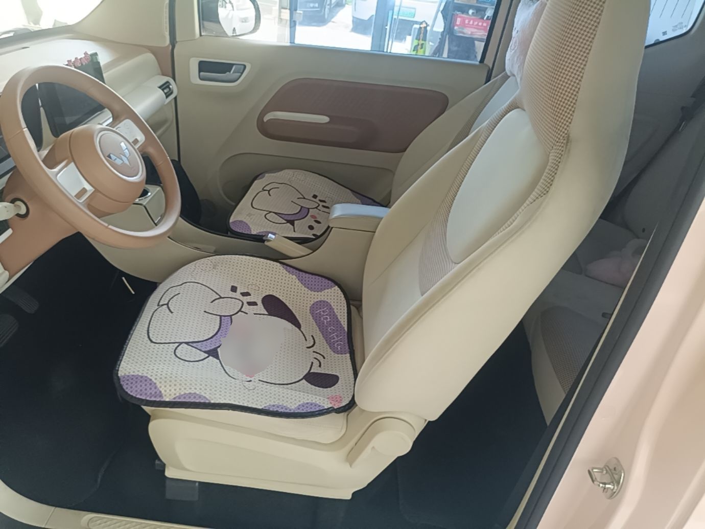Interior delantero