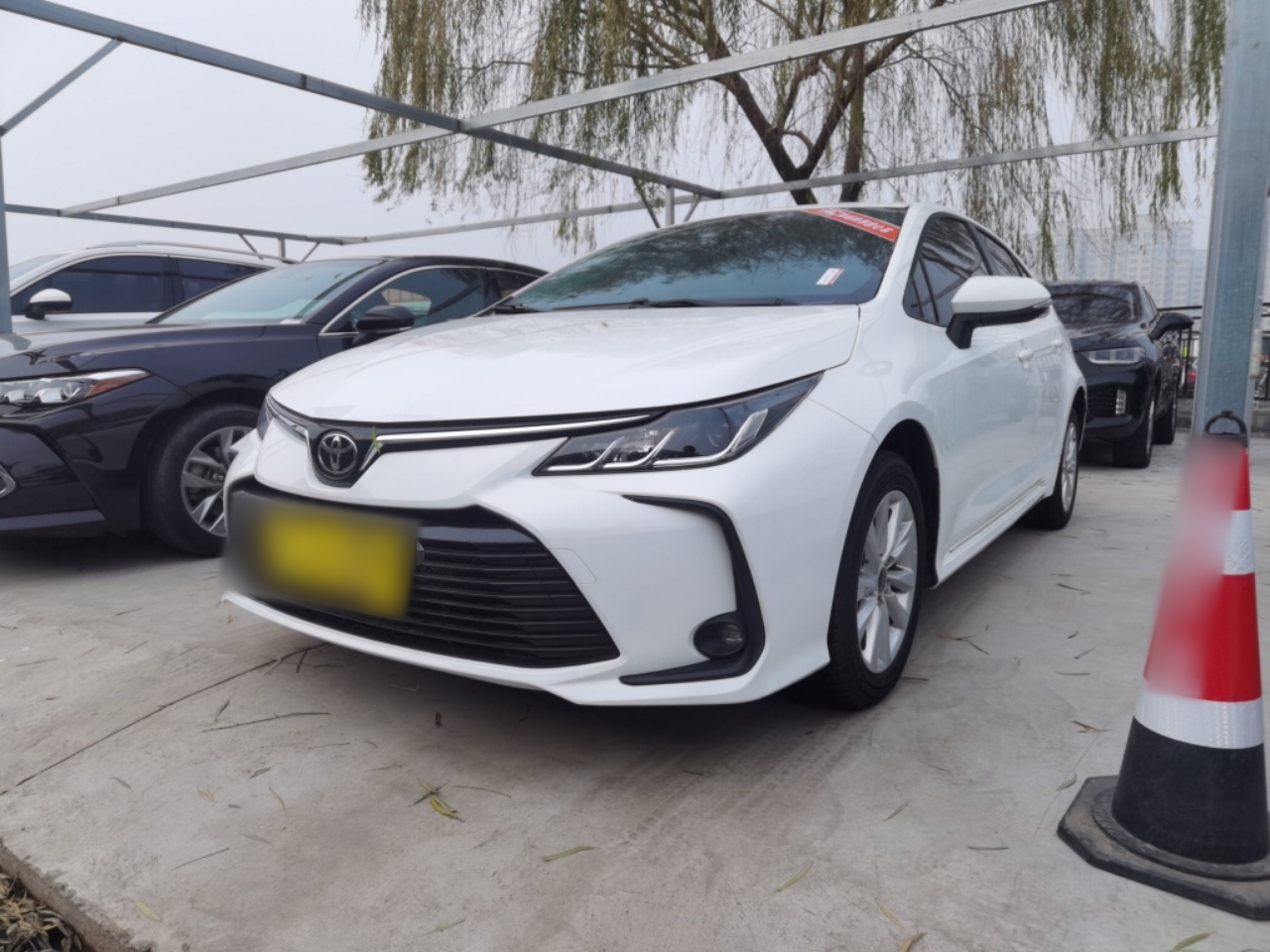 تحت مقدمة السيارة