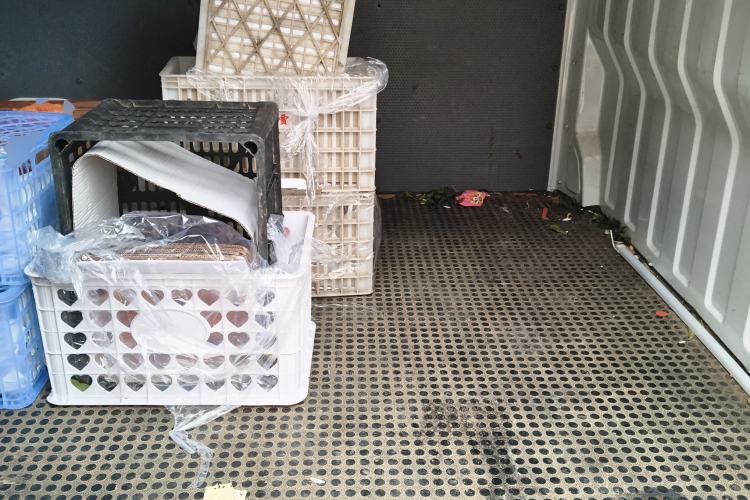 Used SAIC MAXUS Xintu V80 2023 2.0T AMT Classic City Distribution King Short Wheelbase Mid-Roof 3-Seater