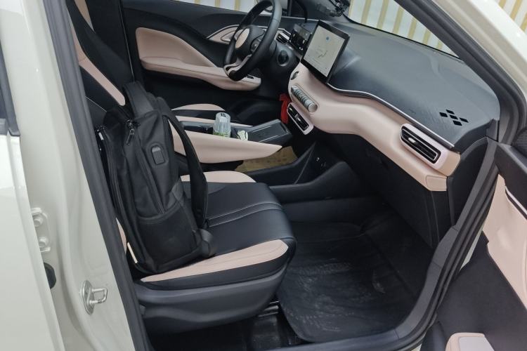 Used BYD Seagull 2023 Free Edition Right Front Seat