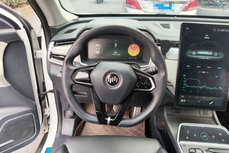 Used WM Motor EX5 2019 EX5 Mate Weymeng Edition 400