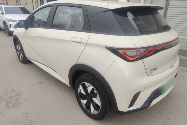 Used BYD Dolphin 2025 420km Free Edition