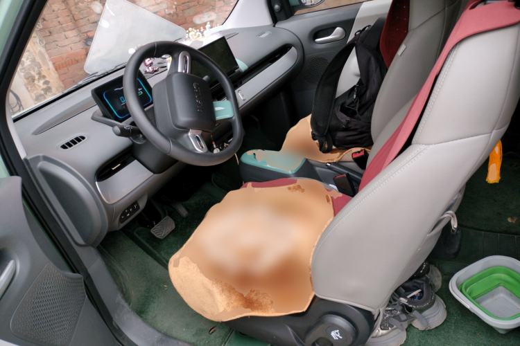 Used Qiyuan Lumin 2025 205km Refreshing Edition