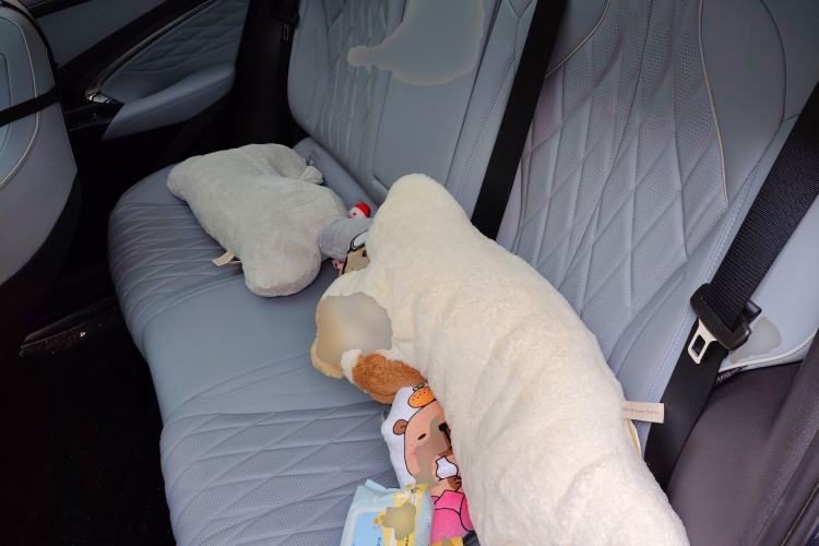 Used BYD Seal 2022 550 km Standard Range Rear-Wheel Drive Elite Version Left Rear Seat