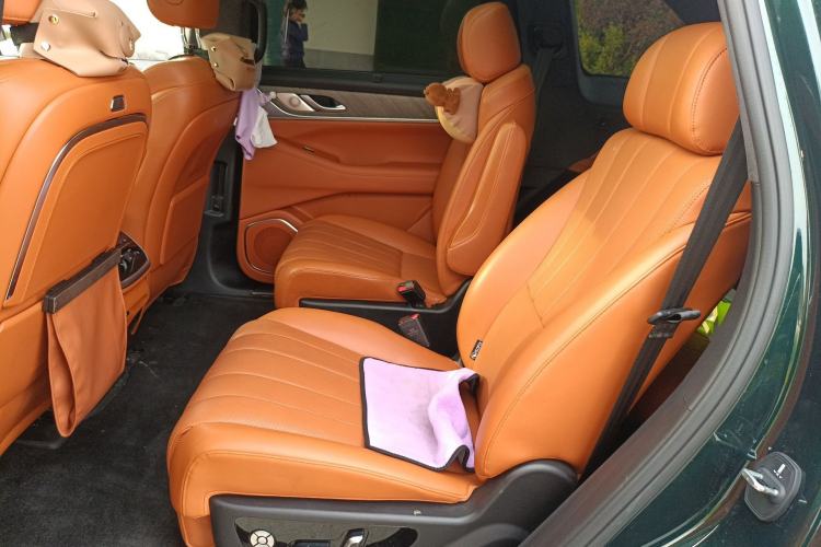 Used Wey Lanshan 2023 Four-Wheel Drive Ultra-Long Range Version Left Rear Seat