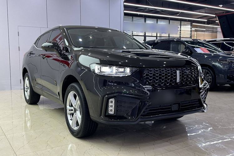 Used Wey VV5 2020 1.5T Two-Wheel Drive Color Pioneer