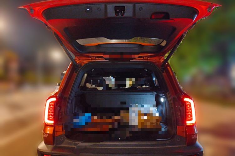 Used Haval DARGO 2021 2.0T DCT Two-Wheel Drive Chinese Mastiff Edition
