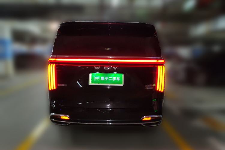 Used Wey Gaoshan 2023 Four-Wheel Drive Flagship Edition